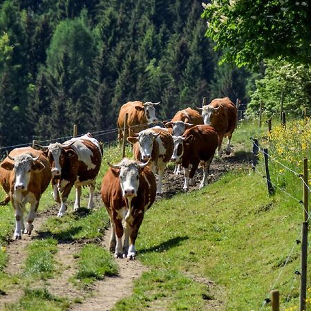 Urlaub Auf Dem Haberlhof Villa Lohberg Eksteriør billede