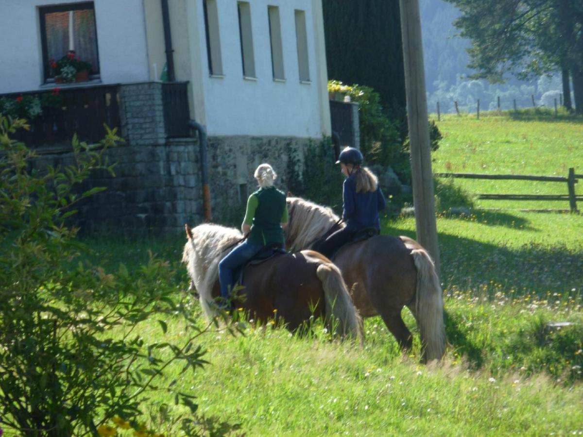 Urlaub Auf Dem Haberlhof Villa Lohberg Eksteriør billede