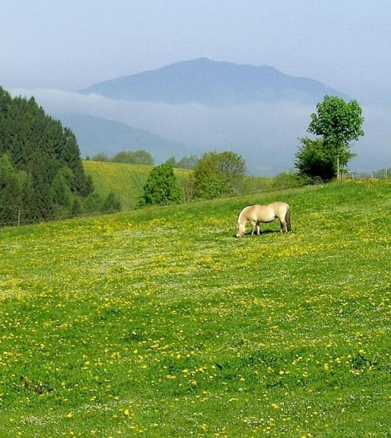 Urlaub Auf Dem Haberlhof Villa Lohberg Eksteriør billede
