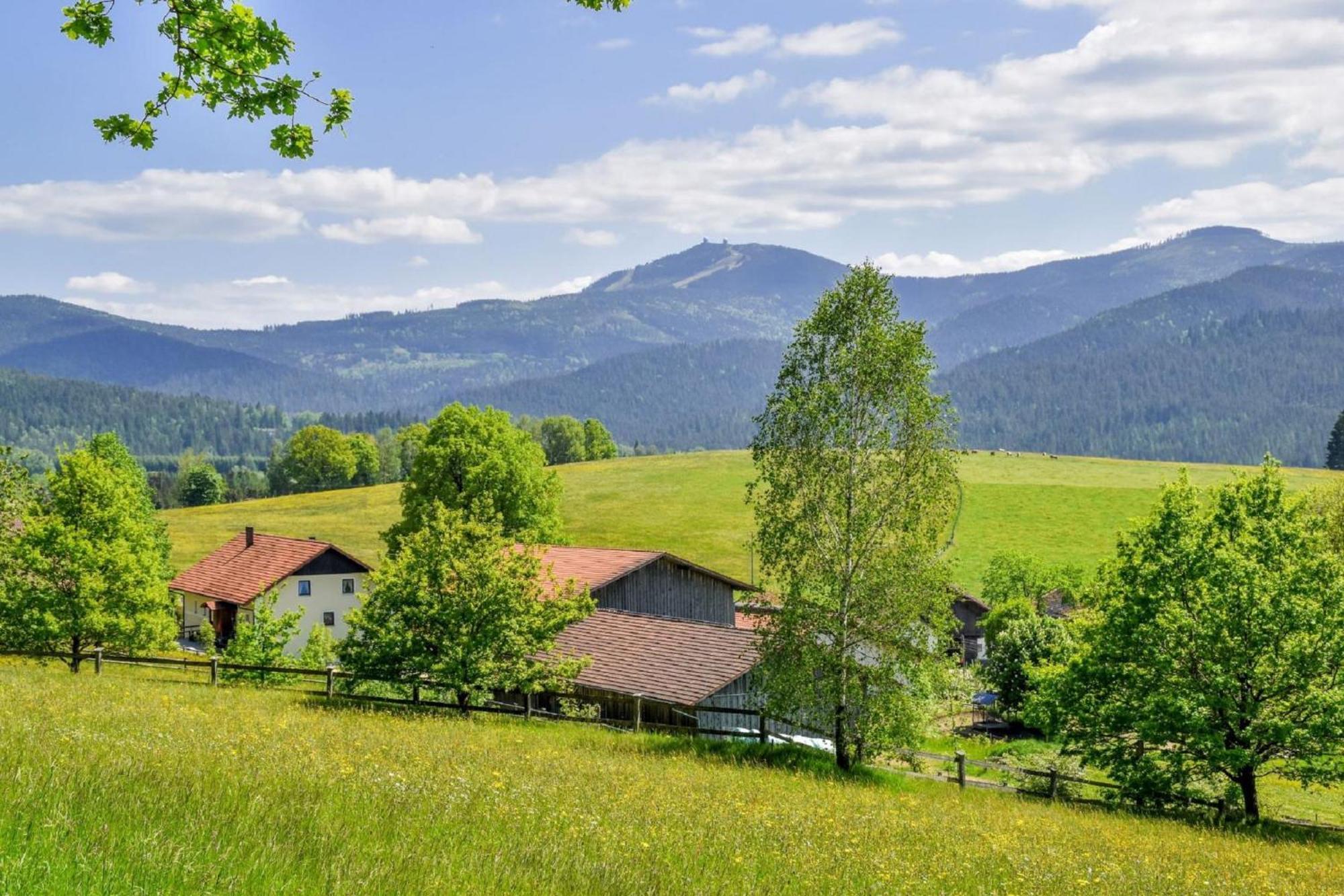 Urlaub Auf Dem Haberlhof Villa Lohberg Eksteriør billede